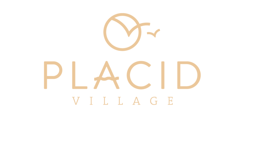 Logo Placid - protocolo