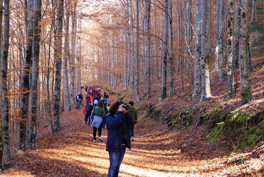 São Martinho com castanhas, jeropiga e uma caminhada na Serra da Estrela!