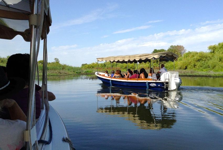 Passeio de barco pelo rio Tejo para conhecer a biodiversidade da região.
