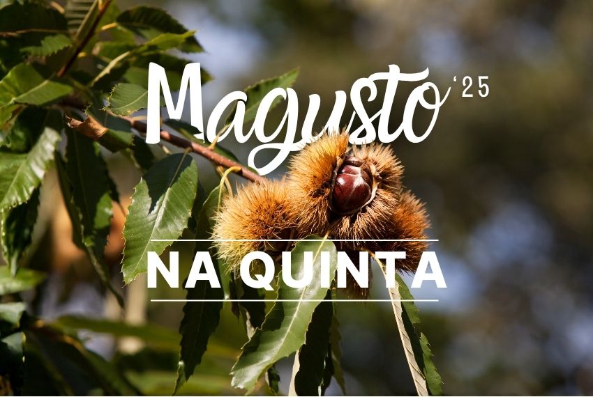 Natureza, boa gastronomia e boa companhia numa Caminhada pela Rota das Anexas com almoço regional!