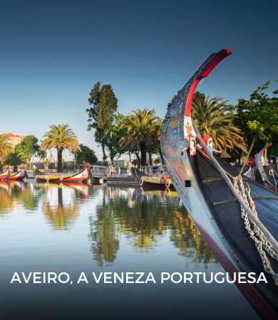 Concurso de arrendamento (1) Concurso de arrendamento (1)