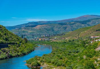 COFRE - post site (6)