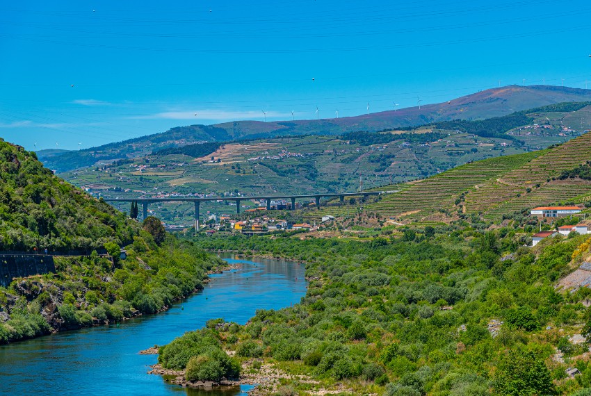 Enquanto navega pelo rio Douro, saboreie um pequeno-almoço, vinho do Porto e almoço.