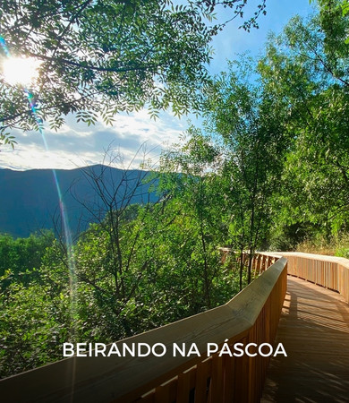 Destaque-berlim Destaque-berlim